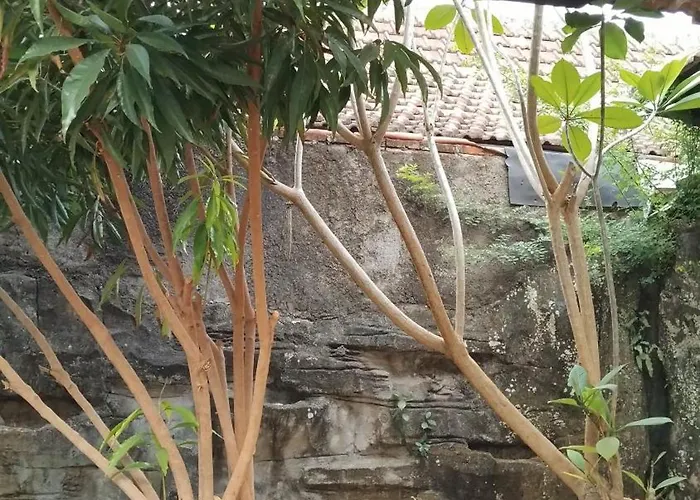 Kawsar Syariah ホテル 2*